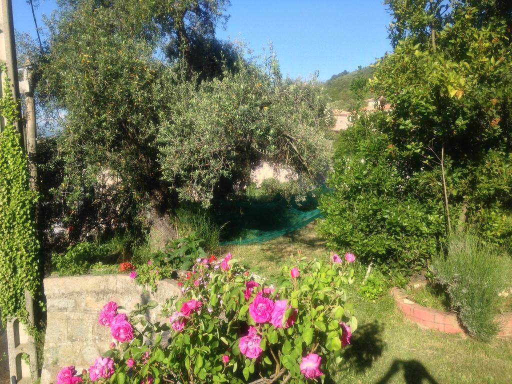 Hotel Les Calanques Piana  Værelse billede